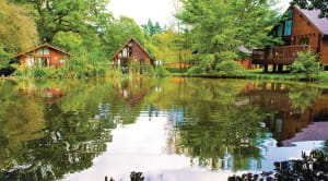 Whitemead Forest Park celebrates its 50th anniversary; log cabins